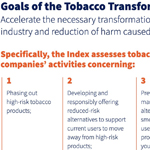 Tobacco Transformation Index: Progress and Next Steps